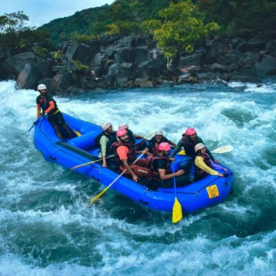 Dandeli